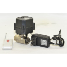 2 Wege Mini 1/2 Zoll Elektrische Steuerung Messing Ventil Wireless Remote Motorisierte Wasser Kugelhahn (W15-B2-C)